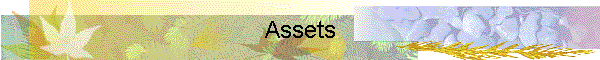 Assets