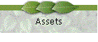 Assets