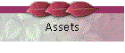 Assets